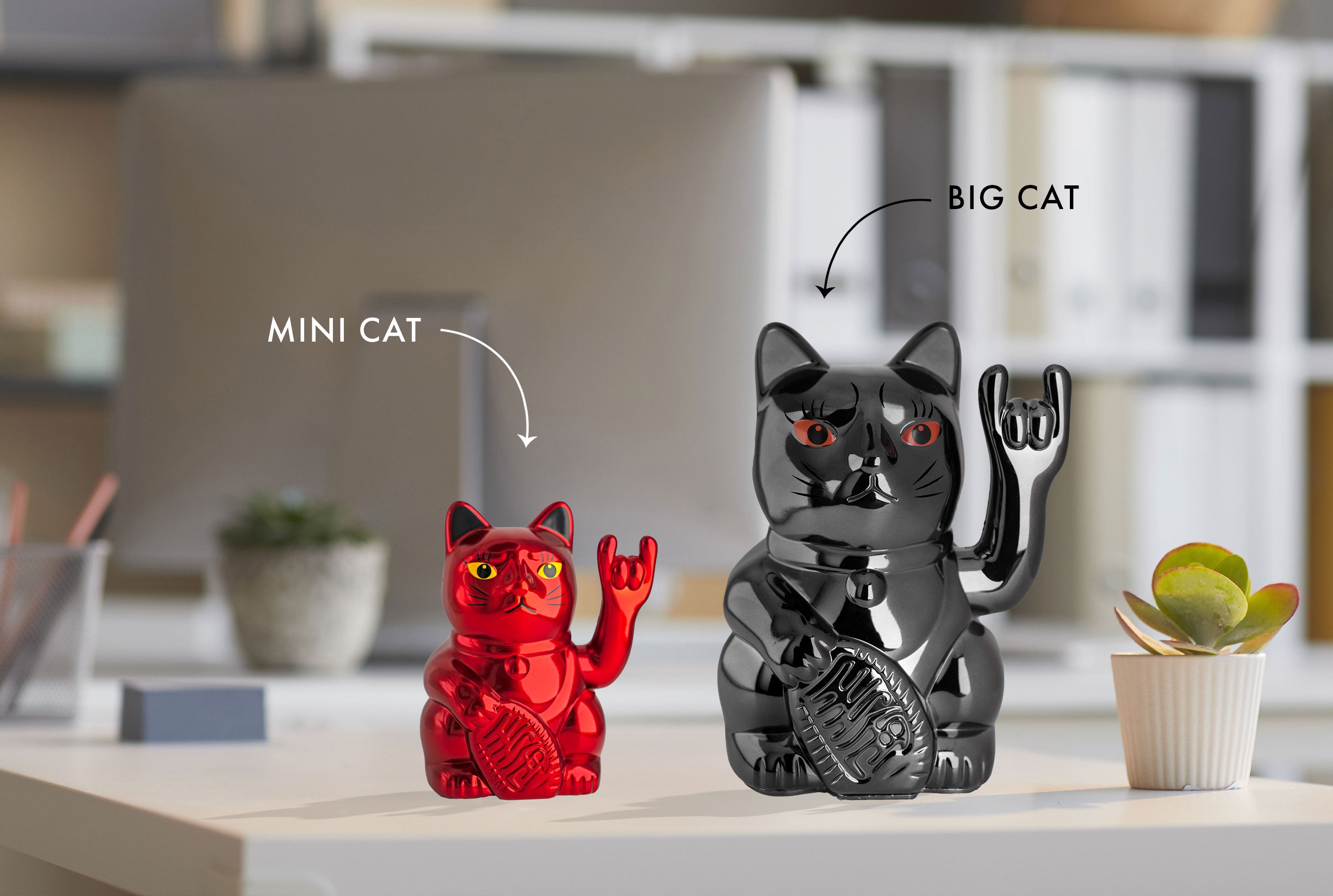Red Sol Cat Angry Cat SOLAR CAT